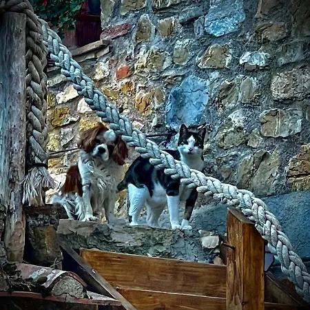Bed & Breakfast Vecchia Fonte *