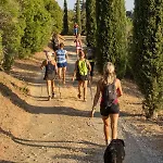 Vecchia Fonte 3*