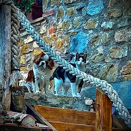 Vecchia Fonte B&B
